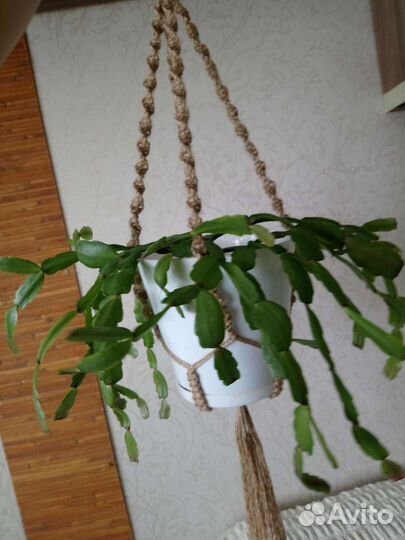 Кашпо подвесное макраме