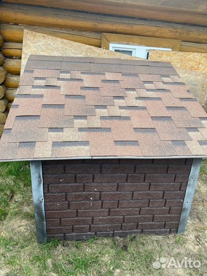 Собачья будка