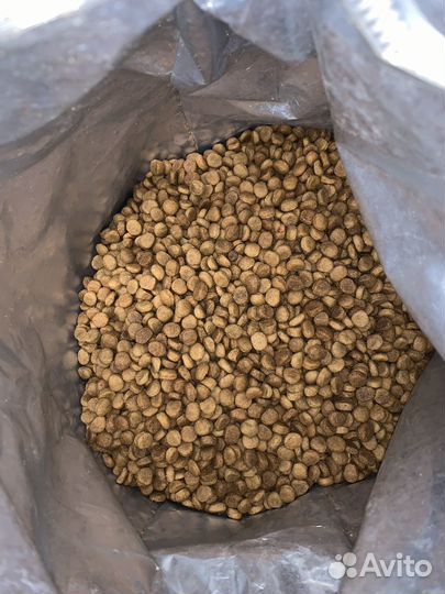 Корм для собак go