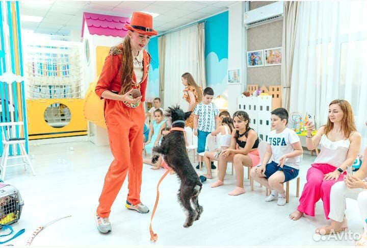 Аниматор с дрессированными собачками. Дог шоу