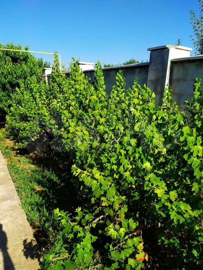 Дача 87 м² на участке 6,5 сот.