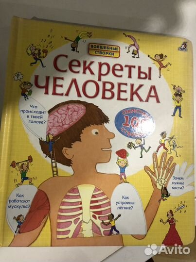 Книжка с окошками
