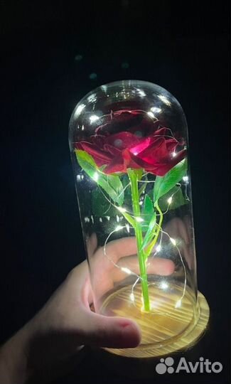 Роза в колбе
