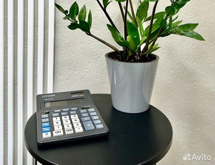 Бухгалтер. Консультация. Сопровождение