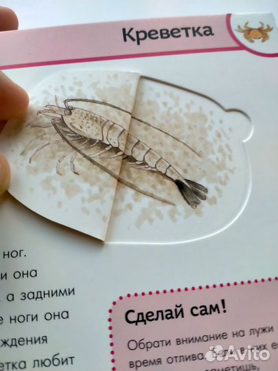 Зачем от чего почему детская книга