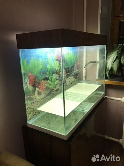 Аквариум