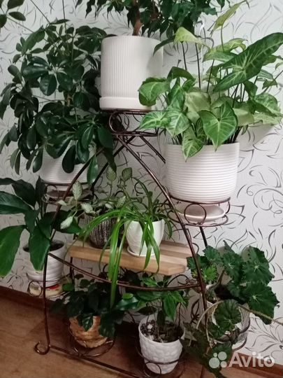 Стойка для цветов