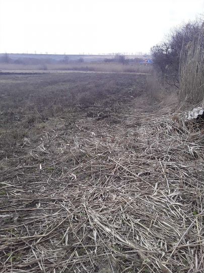 Участок 40 сот. (ИЖС)