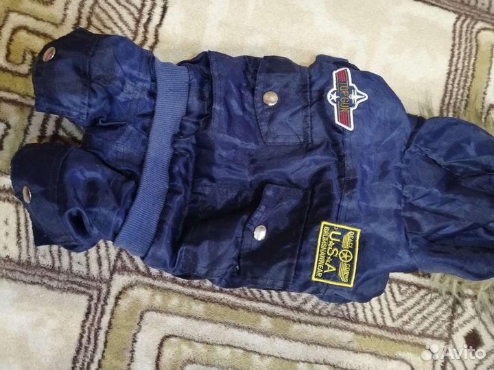 Одежда для собак