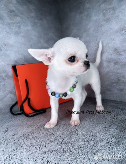 Кукольный super mini мальчик