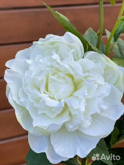 Искусственные цветы Пион