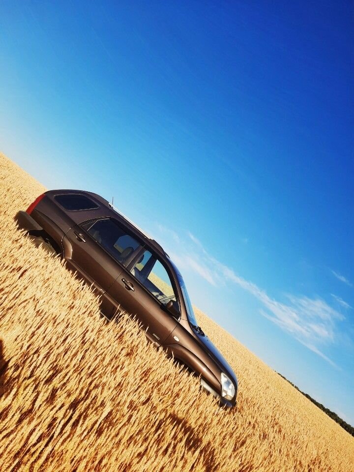 Kia Sportage: фото владельца