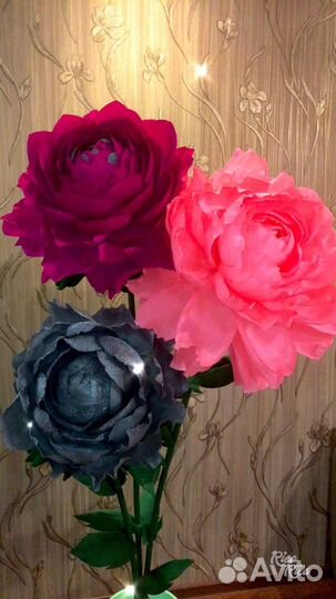 Ростовые цветы. Гигантские цветы. Фотозона из цвет