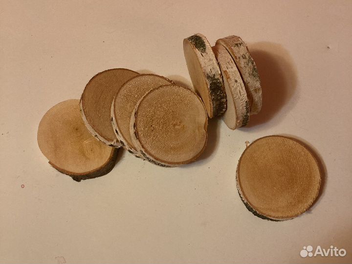 Спилы дерева, берёза