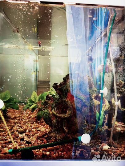 Аквариум jebo