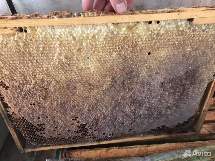 Ульи для пчел,сушь