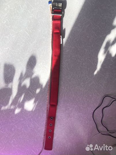 Ошейник для собак Ferplast daytona 47-55