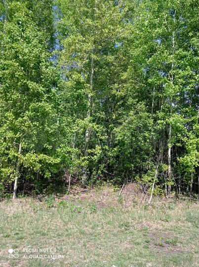 Участок 9 сот. (СНТ, ДНП)