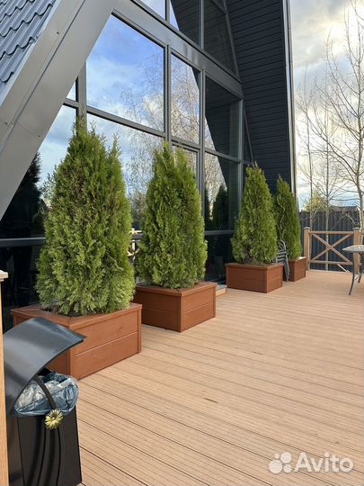 Сдается дом посуточно