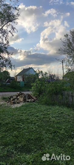 Спил деревьев