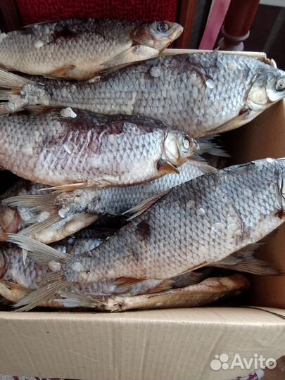 Вяленая рыба