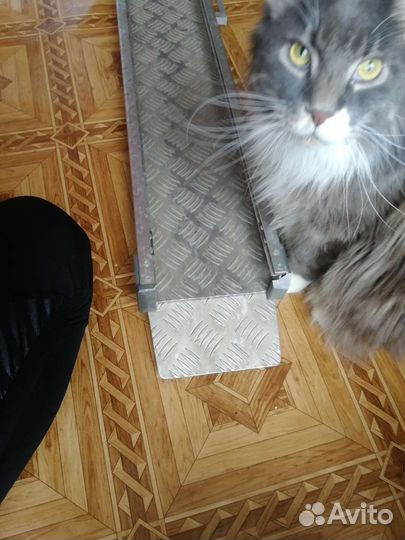 Пандус телескопический