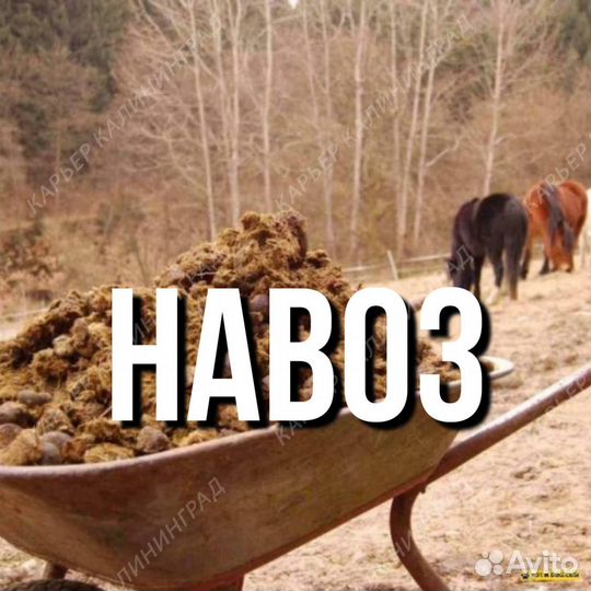 Купить навоз Доставка без посредников