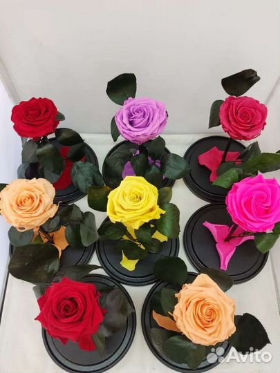 Роза в колбе оптом и в розницу