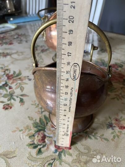 Зольник медный Голландия