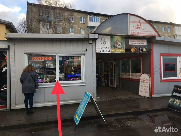 Блютуз колонка