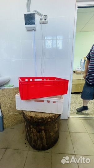 Ящик пластиковый