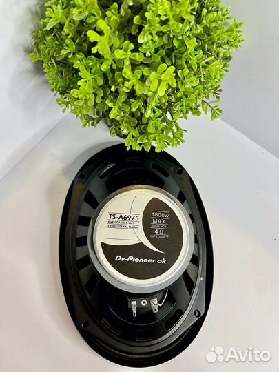 Колонки Dv.pioneer.ok (овалы)