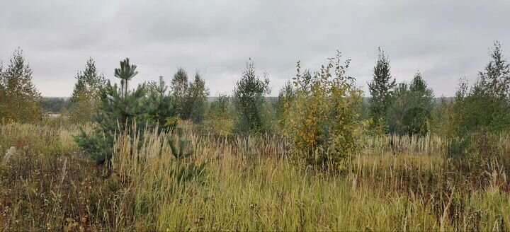 Участок 15 сот. (ИЖС)
