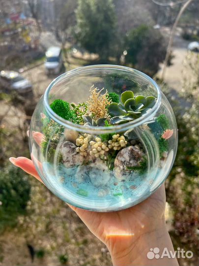 Флорариум 