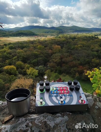 Pigtronix Echolution Delay Phi USA