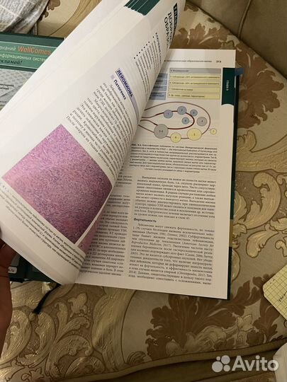 Гинекология по уильямсу