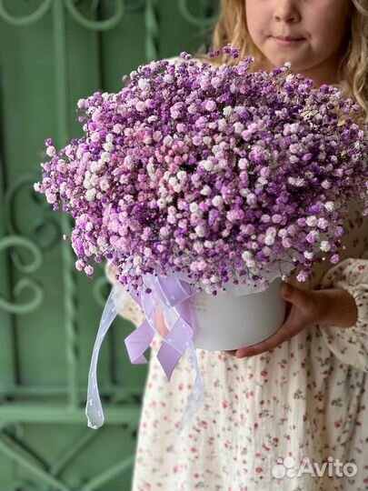 Букет надолго, воздушная гипсофила стойкий цветок