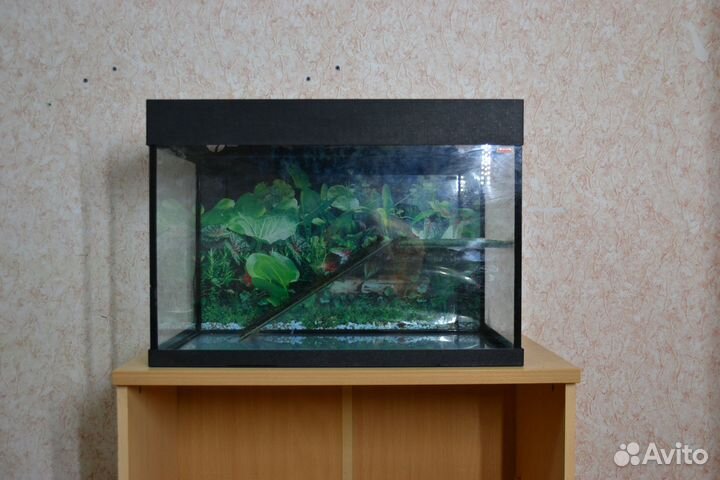 Аквариум аквас для черепах 117 л