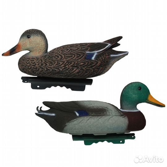 Чучела уток