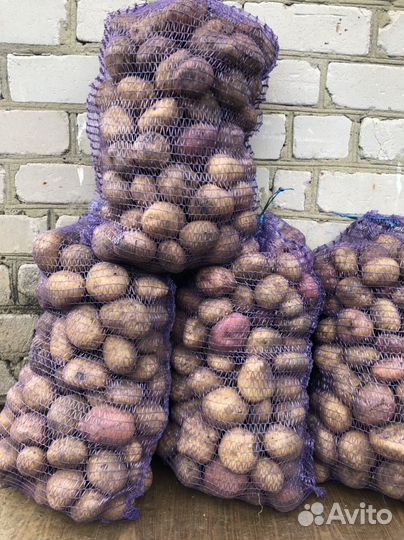 Продам картофель с доставкой