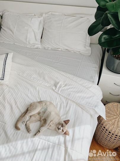 Белье постельное Страйп Сатин