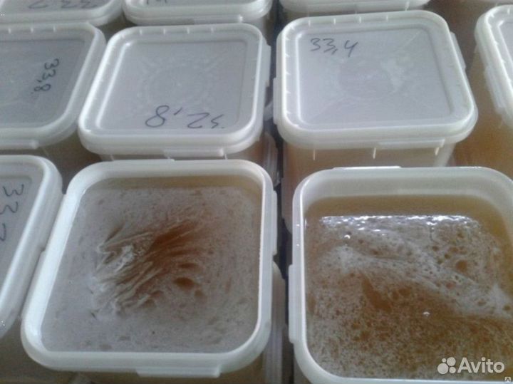 Полевой мёд с гречкой 90 кг