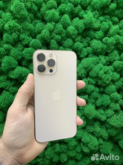 iPhone 13 Pro Max, 1 ТБ