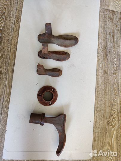 Лапа башмачника (сапожника)