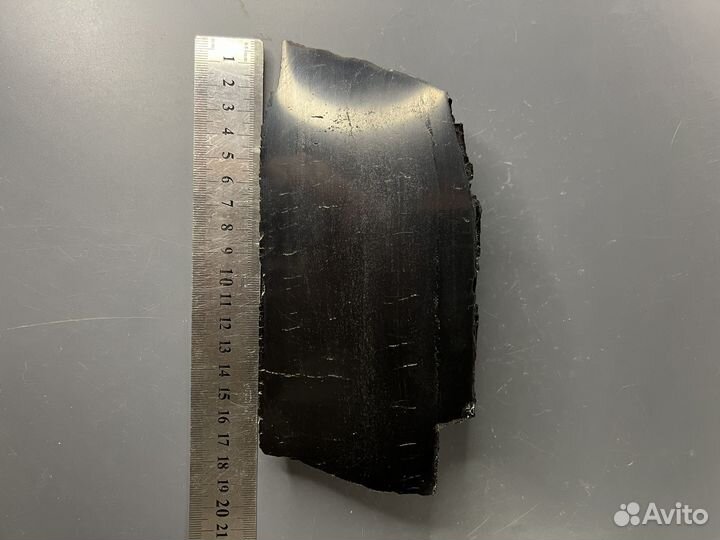 Окаменелое дерево (30)