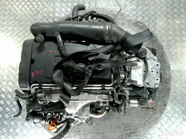 Двигатель Volkswagen Golf 5 (03-09) BKD