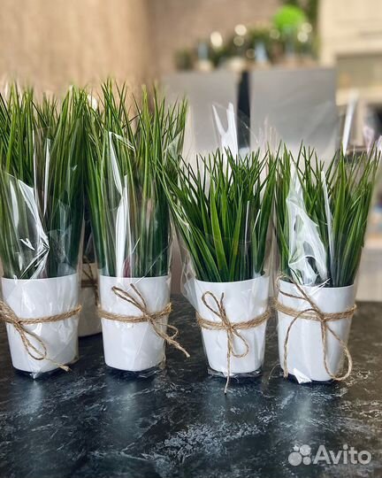 Искусственные растения / трава Икея