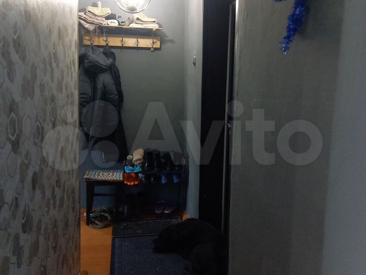 2-к. квартира, 44,7 м², 2/2 эт.