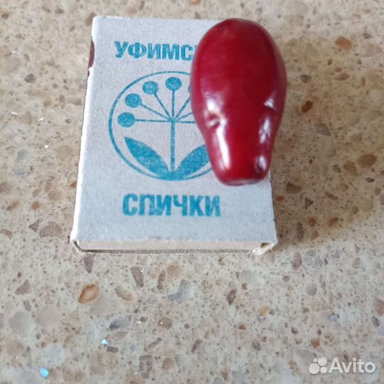 Саженцы кизила привитого сорт Семён