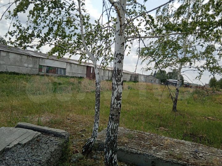 Участок 3,7 га (промназначения)